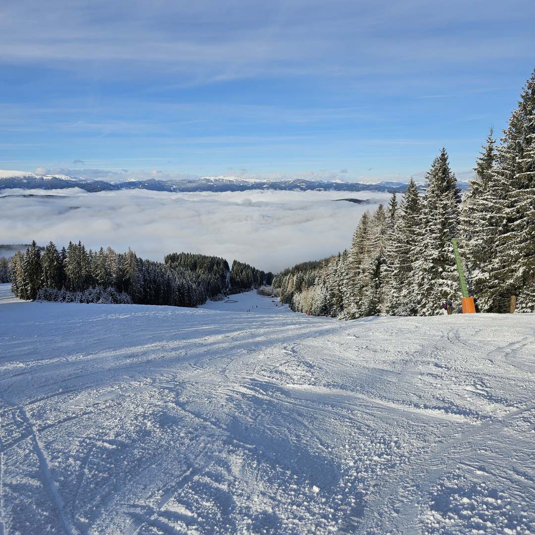 Bärentalpiste auf der Simonhöhe